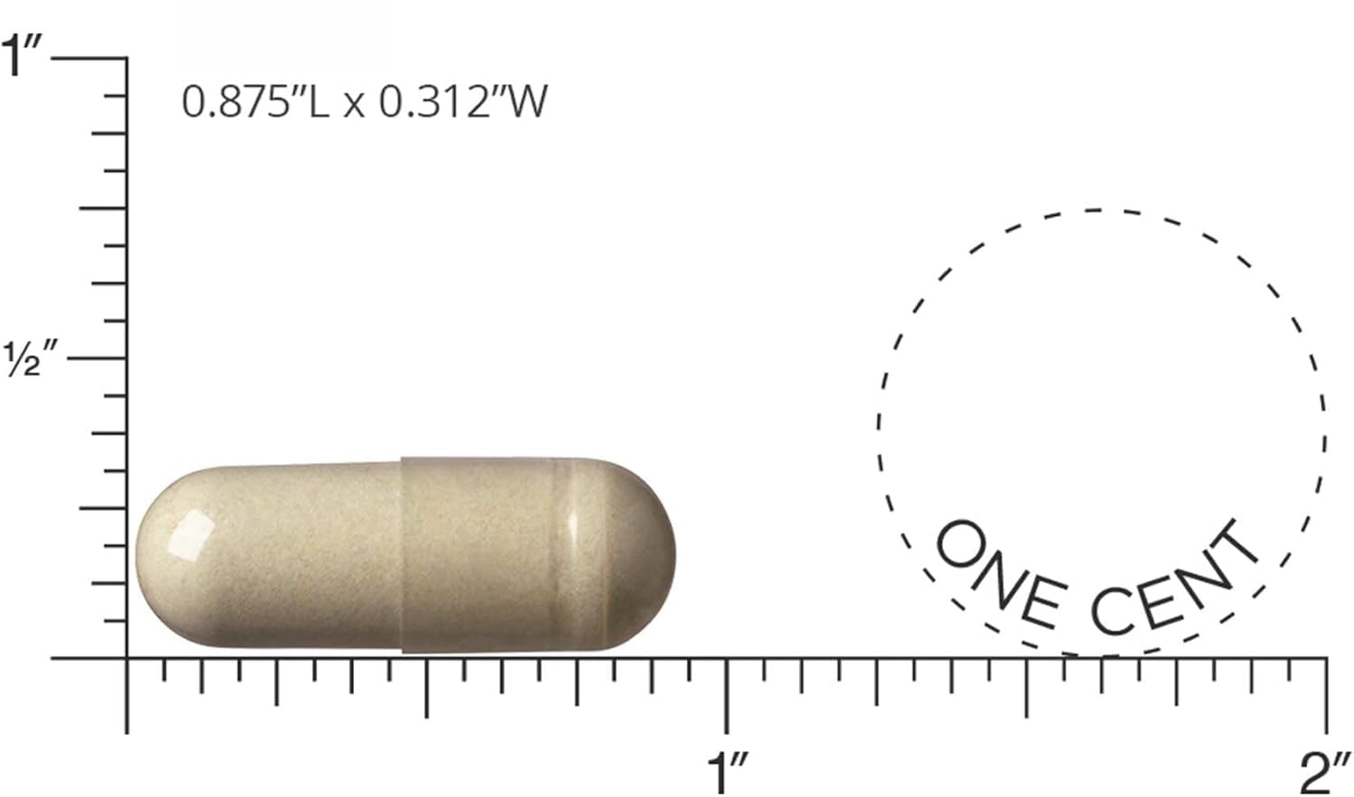 5 diarios, multivitamínicos, aptos para hombres y mujeres. | Apoya los huesos, promueve el metabolismo, natural y orgánico.