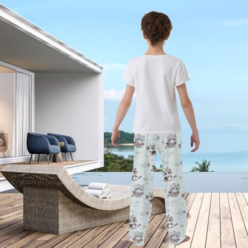 visesunny Boys' Pants Cute Gray Pirate Raccoon Light Green Jogger Pants Elastic Waist Long Bottoms Trousers with Pockets3