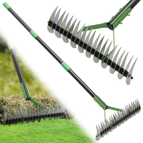 Thatch Rake, 51' Lawn Thatching Rake for Cleaning Dead Grass, 13 Inch Wide Heavy Duty 21 Teeth Steel Metal Rakes, Landscaping Raking Garden Tools for Lawn Care Loosening Leveling Soil Mulch