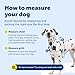 PetSafe Easy Walk Harness for Dogs - Pull-Free Walks - Patented Martingale Loop Design - Front Chest Leash Attachment - Comfort Straps - Breathable Harness Design - Petite/Small, Black/Silver