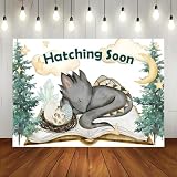 Lofaris Hatching Soon Dragon Backdrop for Baby Shower A Little Dragon is on The Way Party Decorations Magic Dragons Background for Baby Shower Dragons Theme Photo Banner 7x5ft