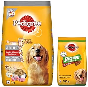 Pedigree Adult Dry Dog Food (High Protein Variant) Chicken, Egg & Rice, 3kg Pack & Pedigree Biscrok Biscuits Dog Treat (Above 4 Months) Lamb Flavour, 500g Pack