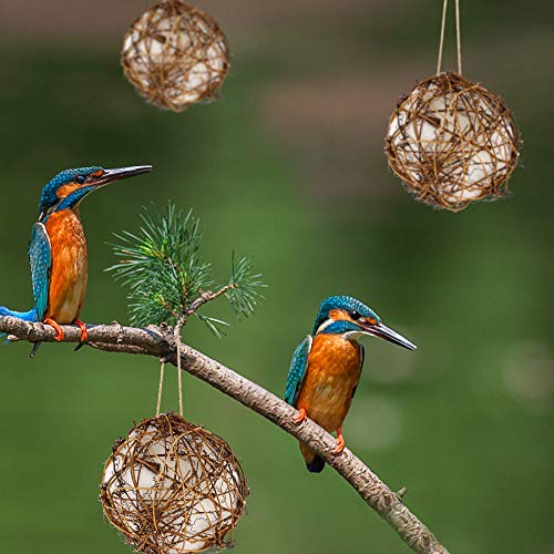 image for winemana Set of 3 Globe Hummingbird Nesters, Full of Bird Nesting Mate