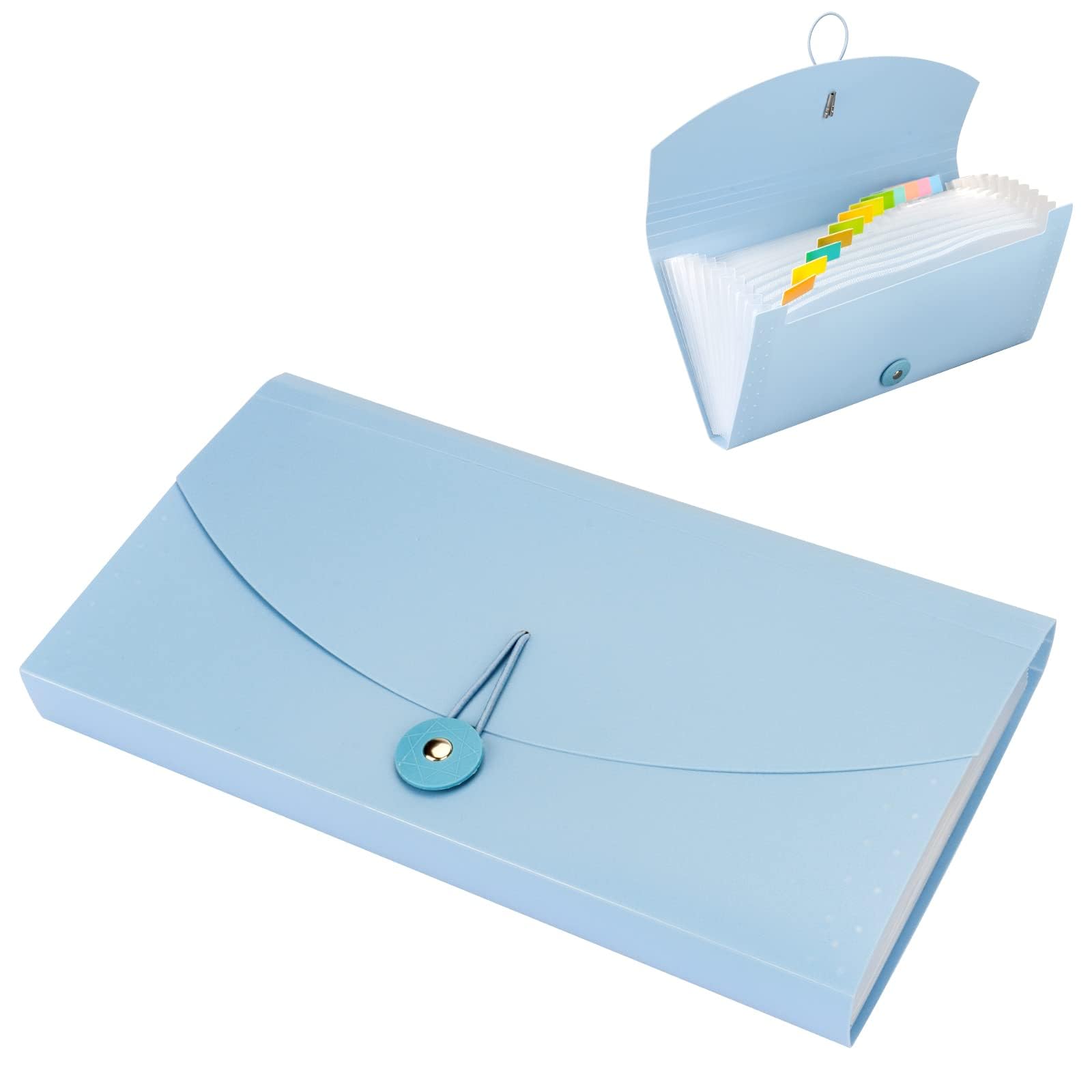 X spring Expanding File Folders, 13 Pocket Plastic Check Bill File Folder, Receipt Folder, Accordion File Organizer, Expanding Coupon Organizer with Labels, Document Organizer Folder (Light Blue)