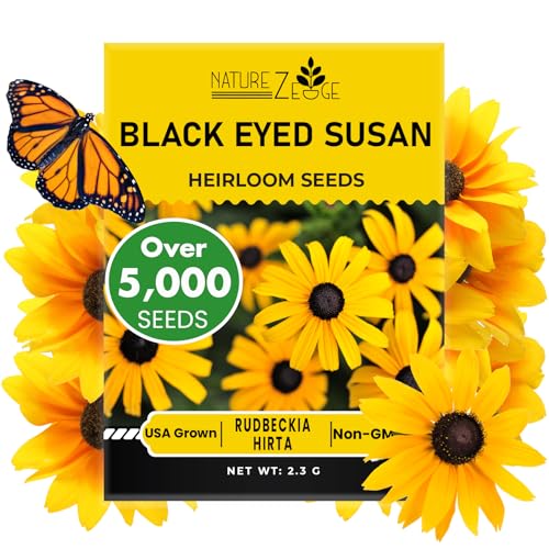 Black Eyed Susan Seeds for Planting, 5000 Seeds, Giving You Beautiful Black Eyed Susan Flowers...