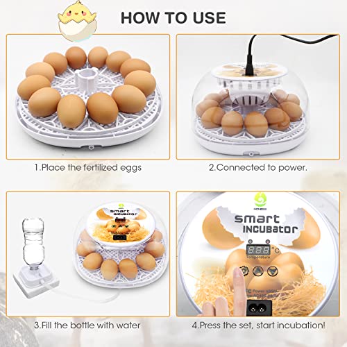 Viowey EGG INCUBATORS For Hatching Eggs thumb #6