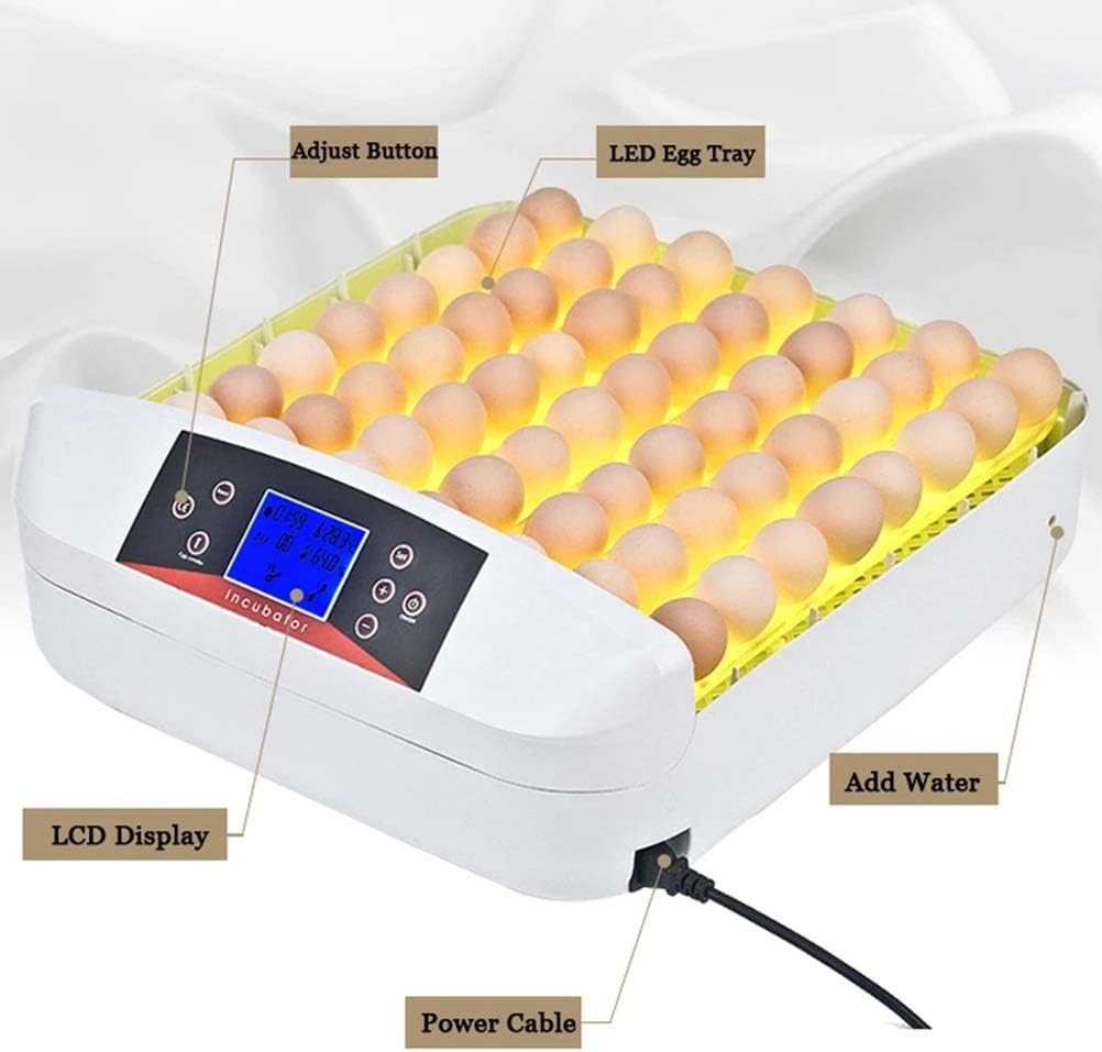 01545 包丁 剣型切付 尺ニ 鏡面仕上げ マグロ包丁 箱付 未使用品 2025