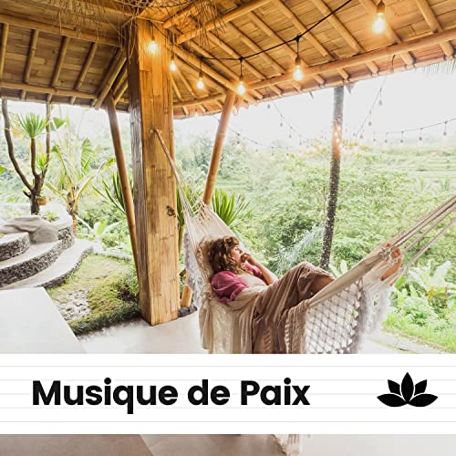 Musique de Paix by Aide Au Sommeil, Zen Musique Détente & Musique Douce ...