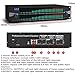 Professional Dual Channel Audio Digital EQ,31-Band Stereo Graphic Equalizer, Equalizer for Recording Studio