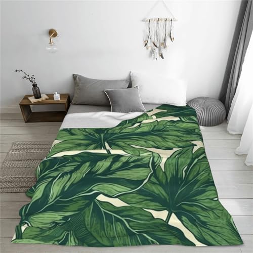 Couverture microfibre pelucheuse d'une douceur exceptionnelle pour intérieur - 7