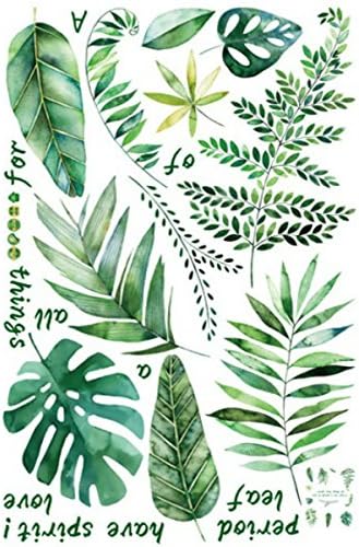 Amazon ウォールステッカー 花 植物 英字 フラワー 花びら ウォールステッカー トイレ グリーン 観葉植物 窓 花柄 カフェ 大きな木 緑 モンステラ 枝 アイビー 木 ツリー シール 壁紙 北欧 文字 かわいい 大きい葉 おしゃれ 蝶 リビング 玄関 洗面所 テレビの廻りに貼る Amazon ウォールステッカー 花 植物 英字 フラワー 花びら ウォールステッカー トイレ グリーン 観葉植物 窓 花柄 カフェ 大きな木 緑 モンステラ 枝 アイビー 木 ツリー シール 壁紙 北欧 文字 かわいい 大きい葉 おしゃれ 蝶 リビング 玄関 洗面所 テレビの廻りに貼る