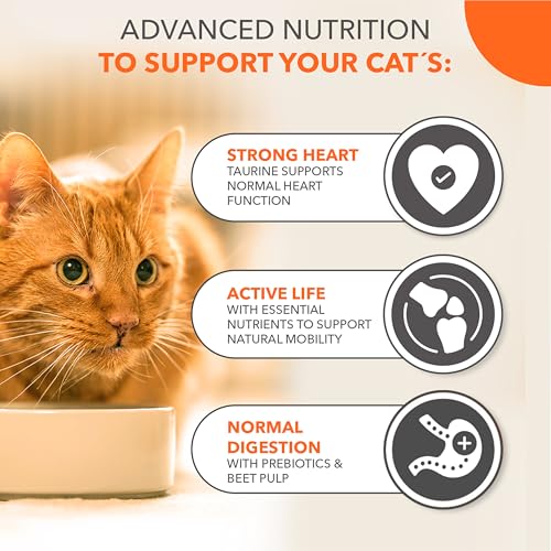 IAMS Senior 11+ Dry Cat Food Chicken 3kg - Supports Healthy Ageing - Image 5