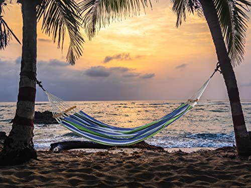 Lxoohy Portable Patio Double Hammock With Travel Bag, 2 Person Outdoor Hammock With Foldable And Curved Spreader Bar, D Rings And Tree Straps For Camping, Picnic, Backyard, Green Blue #TOP7