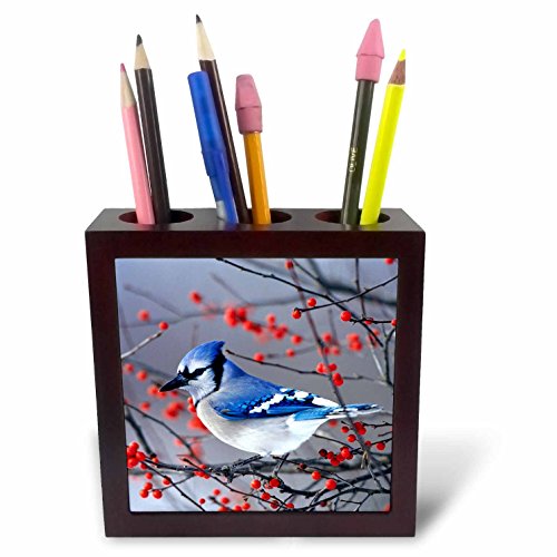 Geai bleu en winterberry bush en hiver pot à crayons céramique 12,7 cm