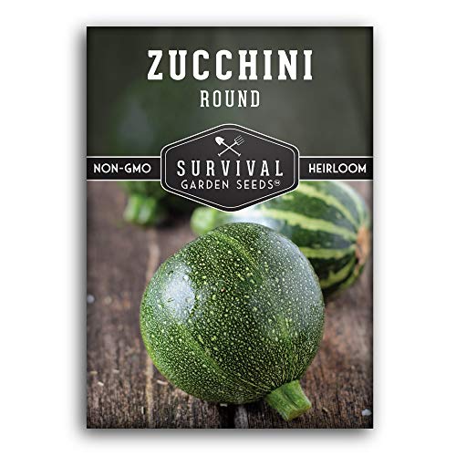 Round Zucchini Seed for Planting - Plant and Grow Small Green Zucchinis in Your Home Vegetable Garden - Non-GMO Heirloom Variety - Survival Garden Seeds (1 Pack)