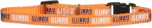 NCAA Illinois Illini Collar para gato, 3/8 x 8-12 pulgadas