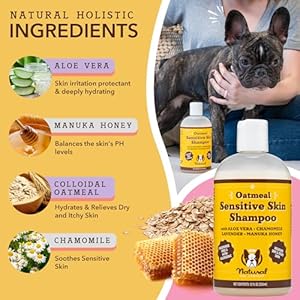 Natural Dog Company Oatmeal Shampoo for Dogs with Sensitive Skin, Ideal Anti Itch Dog Shampoo and Puppy Shampoo Oatmeal Itch Relief Dog Dandruff Shampoo, Aloe Itchy Skin Relief for Dogs 12 oz