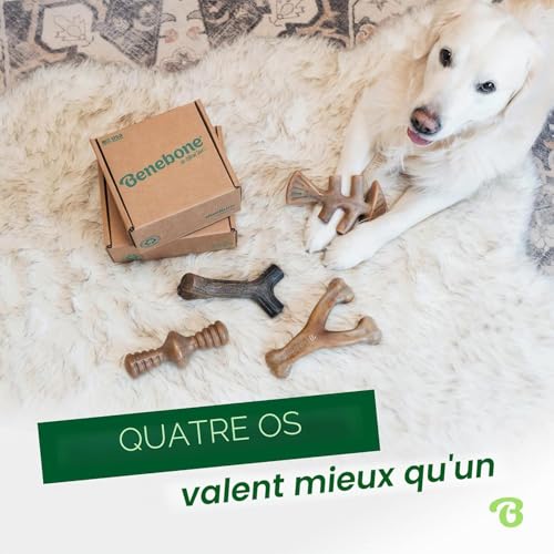 Jouets à mâcher Benebone pour chien taille M pack de 4 formes