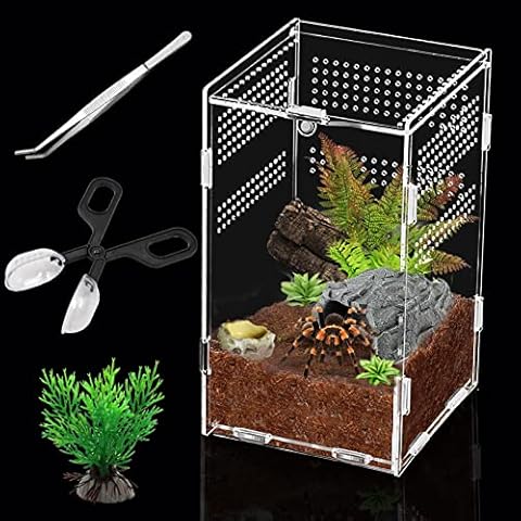 Schnecken Terrarium, Acryl, Reptilien-Zuchtbox, Reptilien-Terrarien, transparent, für Reptilien, Lebensraum mit Fütterungswerkzeugen, für Spinnen, Eidechsen, Skorpion, Käfer, Crickets, Mantis, Geckos Cover