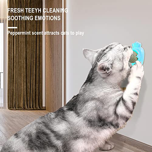 Luckxing Palla di Menta Gatto,Rullo di Erba gatta