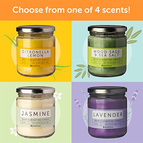 Odor Eliminator Candles For Your Home - Refresh Your Space With Pet Candles Odor Eliminator - Strong Scented Candles - Smoke Candles Odor Eliminator For Any Room - Smoke Candle - Pet Odor Candle (Jasmine) #TOP7