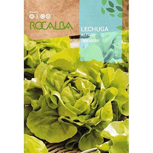 ROCALBA LECHUGA TROCADERO 6g