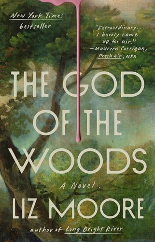 25% off - The God of the Woods: A Novel