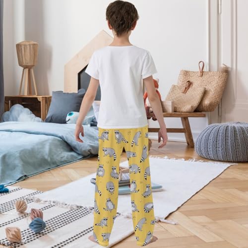 Boy's Pants Raccoon Funny Animal Jogger Pants Elastic Waist Long Bottoms Trousers with Pockets 6-14 Years3