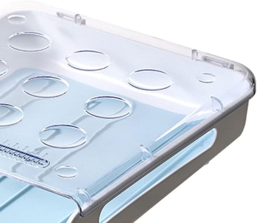 Plastic Egg Storage Box, Automatic Rolling Egg Box Tray, Egg Fresh-keeping Box Storage Box, Portable Storage Box with Date Scale