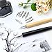Quacc Comic Dip Pen Set, 2 Pen Holders and 10 Replacement Nibs, Wooden Calligraphy Holder with 5 Different Stainless Steel Nib for Writing, Painting, Signing