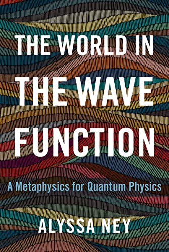  The World in the Wave Function: A Metaphysics for Quantum Physics (English Edition)