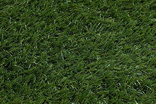 Gazon artificiel ORYZON Erba 200x200 vert faux gazon pour sol extérieur