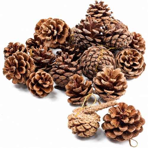JOHOUSE 18PCS Hanging Natural Pine Cones (1.5'–2.5'), Rustic Pinecones with Strings for Garland...