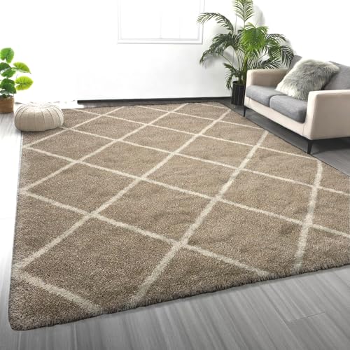Image of 5x7 feet Soft Area Rug for Living Room and Bedroom, Modern Indoor Floor Carpet with Non-Slip Backing, Comfortable Decorative Home Decor Rug, Easy Clean & Durable- (Beige B, Rectangular)