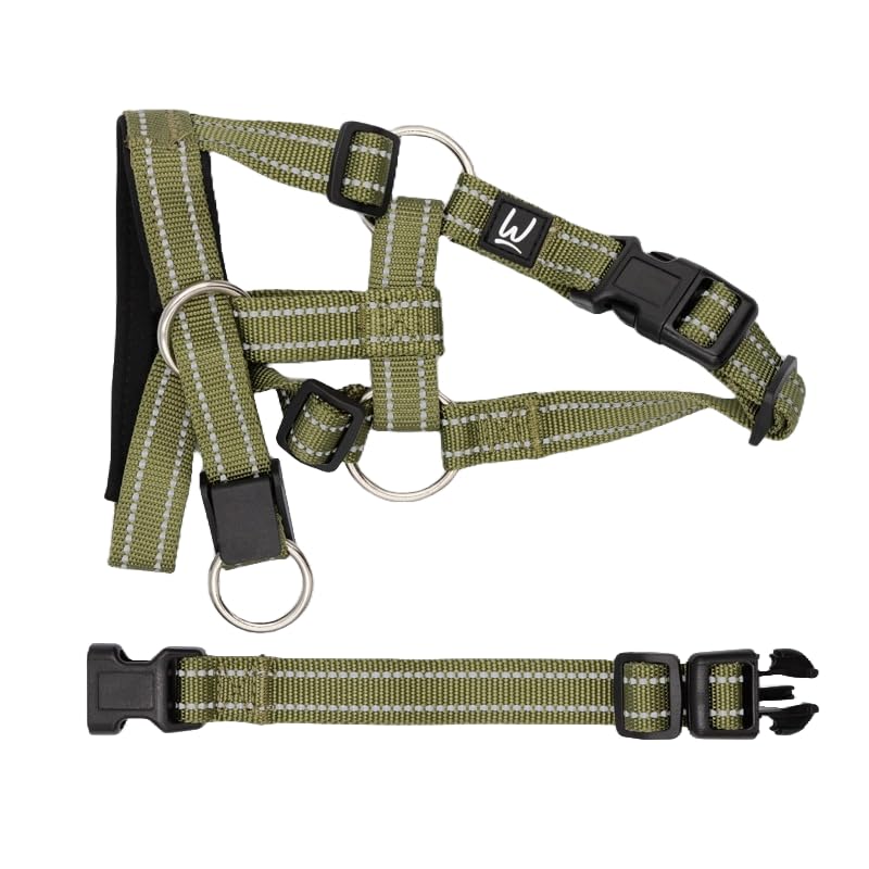 No Pull Dog Head Collar for Training – Reflective, Adjustable Halter for Walk Control – Humane Alternative to Harness or Choke Collar (Green, Xl)
