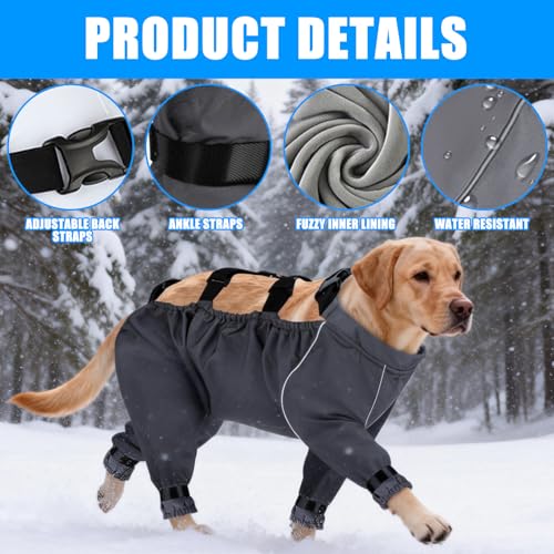 Chaquetas para exterior de perros con pantalones de nieve y botas reflectantes 4