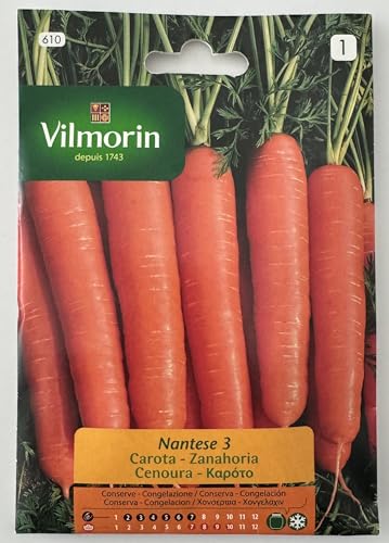 Semi Carota Nantese S1-610, 8g Confezione 10 bustine