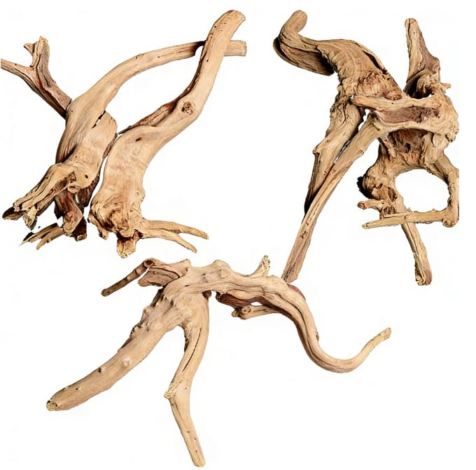 ZCXETP 3PCS Aquarium Driftwood for Fish Tanks and Aquascaping