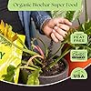 Rosy Soil Plant Food - Microbially Active Fertilizer for Houseplants, Herbs, Flowers – Enriched with Biochar, Kelp, and Worm Castings – Organic Food for Healthy Growth – 4 Quarts #1