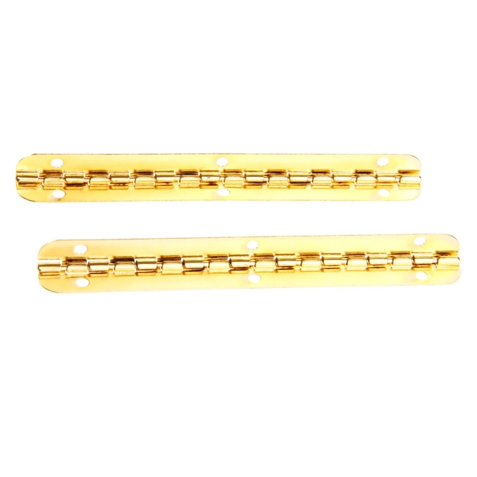 Kdhcvkz One Color 4Pcs Hinges 100M*9Mm Long Gold Hinge With Screws
