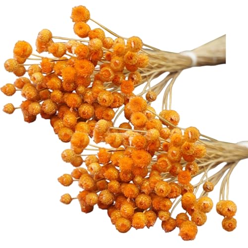 Ramo de flores secas naranja, 2 piezas, 40 cm miniatura 6
