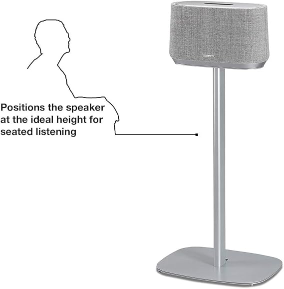 Floor Stand for Harman Kardon Citation 300 - Grey