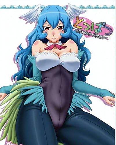 Amazon とら祭り15 俺たちミスノン一家 新刊 えとたま ピヨたん おもちゃ おもちゃ Amazon とら祭り15 俺たちミスノン一家 新刊 えとたま ピヨたん おもちゃ おもちゃ