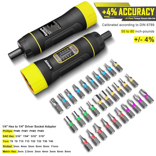 Aiourx Torque Screwdriver Set 10-80 in.lb