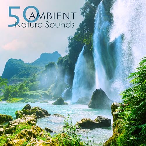 Play 50 Ambient Nature Sounds - Relaxing Natural Music with Sounds of ...