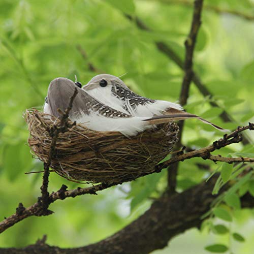 Amosfun 8 Peças de Kit de Ninho de Pássaro Artificial Com Ninho de Galho Artificial Pássaros de Pena