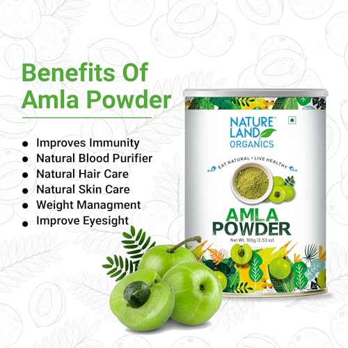 Image of Natureland Organics Amla Powder 100gm - Organic Healthy Powder
