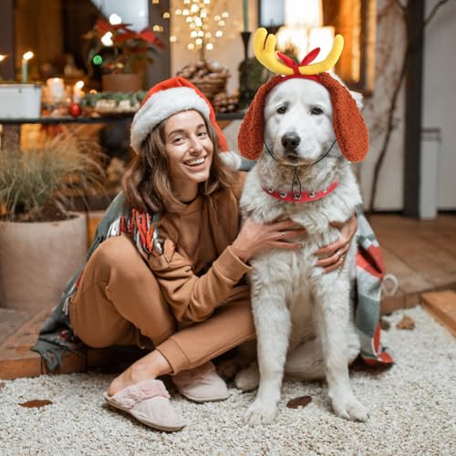 Disfraz Navidad con cuernos de reno y collar para perros M miniatura 7