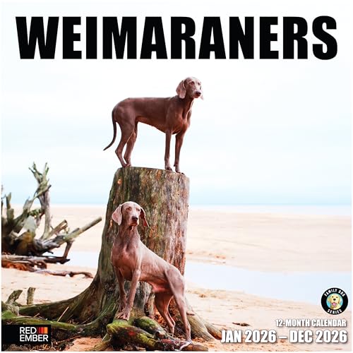 Image of RED EMBER Weimaraners 2026 Wall Calendar 12 Month | 12 inch x 24 inch Open | Thick & Sturdy Paper | Giftable | Cute Puppy Dog Calendar 2026