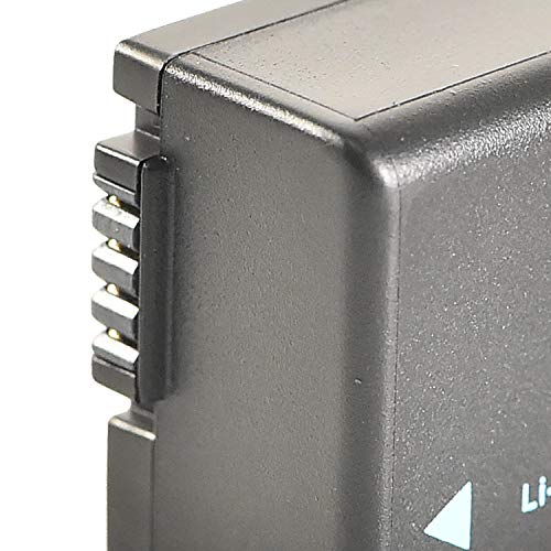 Dste Replacement For Dmw-Bmb9 Dmw-Bmb9E Battery Compatible Panasonic Lumix Dmc-Fz40 Fz45 Fz47 Fz48 Fz60 Fz62 Fz70 Fz72 Fz80 Fz100 Fz150 Leica V-Lux2 V-Lux3 Camera As Bp-Dc9 #TOP6